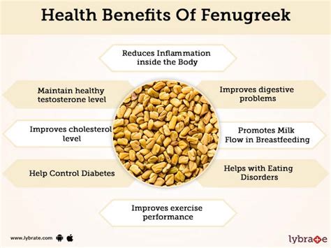 side effects of fenugreek breast enlargement|Fenugreek benefits, dosage, and side effects .